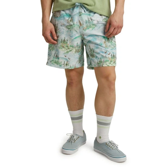 Szorty Burton Creekside (Sterling Pond) SS20_2
