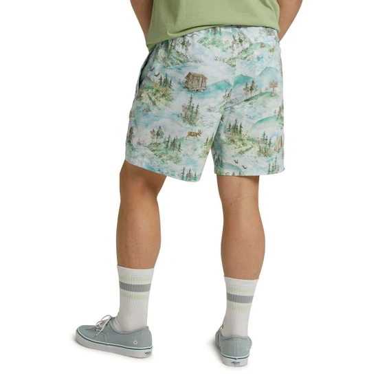 Szorty Burton Creekside (Sterling Pond) SS20_3