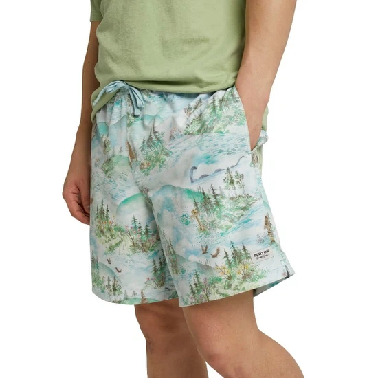 Szorty Burton Creekside (Sterling Pond) SS20_4