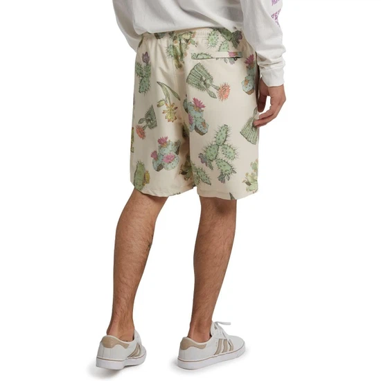 Szorty Burton Creekside (Cactus) SS20_3