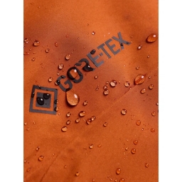 Damskie Spodnie Snowboardowe Burton Reserve GORE-TEX 2L Bib (Spiced Chai) FW27_7 thumbnail