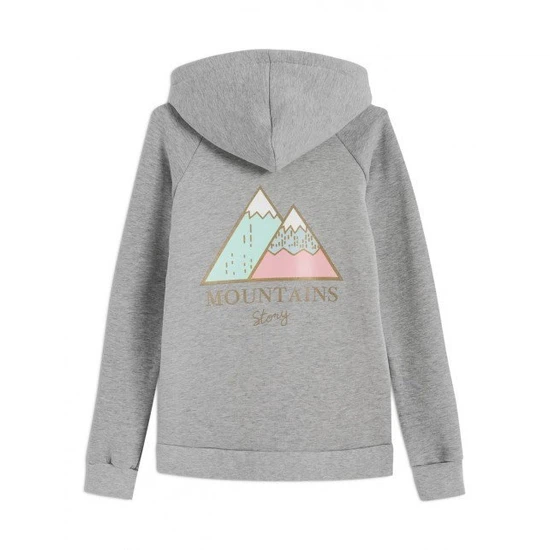 Bluza z kapturem Femi Everest (Ash Grey Heather)_2 thumbnail