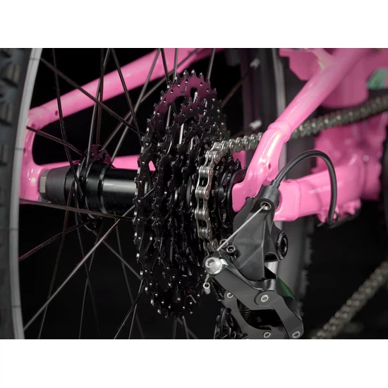 Rower TREK 2025 Wahoo 20 Path (Pink Frosting)_6