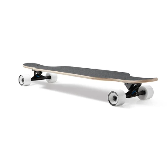 Longboard Palm - Prism_3